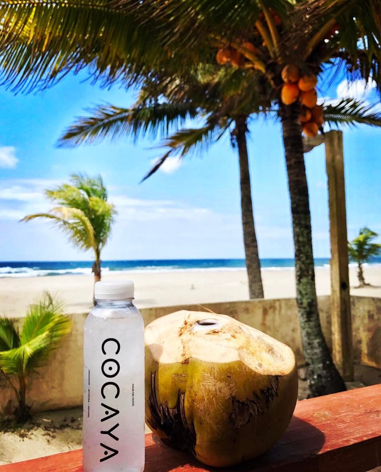 Agua de Coco Cocaya 430ML